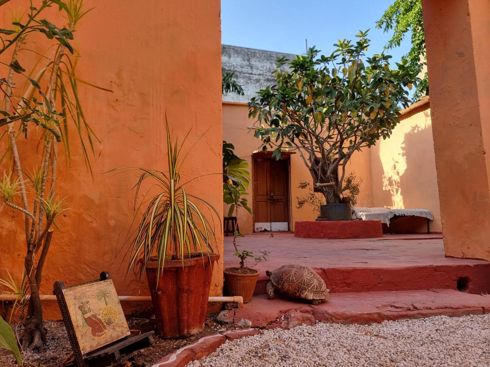 Karavan Kafe Pushkar Eksteriør billede